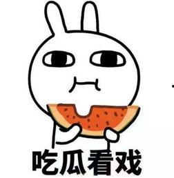 吃瓜视频爆料山东,一起探寻背后的真相与故事