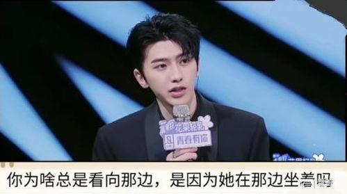 吃瓜爆料谢可寅,吃瓜爆料背后的故事与真相